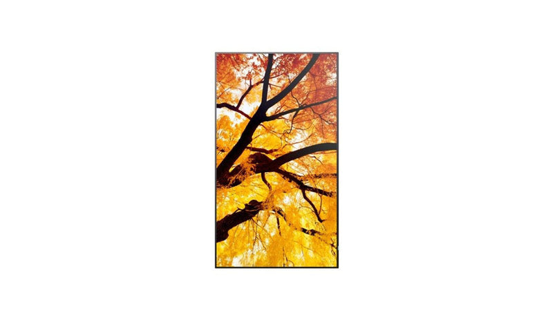 Sharp 32" Monitor – Full HD, ideal für Büroarbeit