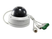 LevelOne Dome IP-Kamera – wetterfest, vandalismussicher