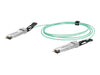 Digitus Netzwerk-Kabel – 100Gbps, 2 m, Glasfaser