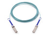 Nvidia Netzwerk-Kabel – 10m Glasfaser, 100G Ethernet-Support