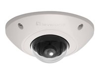 Levelone Outdoor Dome Kamera – 2-Megapixel, vandalismussicher