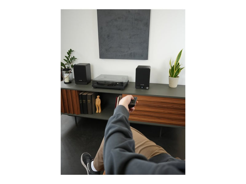 Pure Classic Stereo-Soundsystem – Klare Klangqualität, elegantes Design
