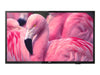 Philips 43" Smart TV – Full HD, einfache Verwaltung