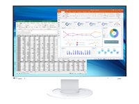 Eizo 24" Monitor – Flexibler Standfuß, IPS-Display