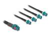 Delock Kabel – Mini FAKRA Z Buchse zu 4x FAKRA Z Stecker