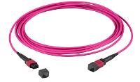 EFB Elektronik Glasfaser-Patchkabel – 36 Fasern, 5m Länge