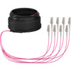 EFB Elektronik Glasfaser-Trunkkabel – 20 m, Multi-Modus, halogenfrei