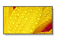 NEC 65" Display – 4K UHD, LED-Hintergrundbeleuchtung