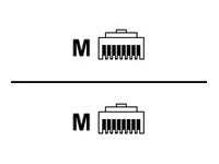 Netapp Ethernet-Kabel 1 m – Schnelle Verbindung, robustes Design