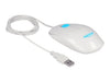 DELOCK Optische Maus – Für Rechts- und Linkshänder, USB-Anschluss