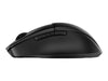 HP Comfort Wireless Maus – Bluetooth & USB-Empfänger