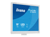 Iiyama 19" LED-Monitor – HDMI, Lautsprecher integriert