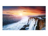 Samsung 55" Digital Signage Display – Full HD, lebendige Farben