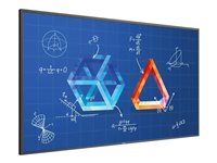 Philips 43" Multitouch-Display – 4K UHD, 10 Berührungspunkte