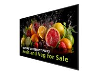 Philips 98" Display – 4K UHD, LED für klare Bilder
