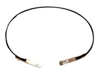 Cisco 10m Netzwerk-Kabel – Aktiv, für schnelle Verbindungen