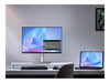 ASUS ProArt 24" Monitor – IPS-Display, 2K-Auflösung