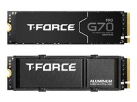 Team Group SSD 2 TB – Schnelle PCIe 4.0, integrierter Kühlkörper