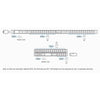 ATEN Basis PDU – Energieüberwachung für Serverräume
