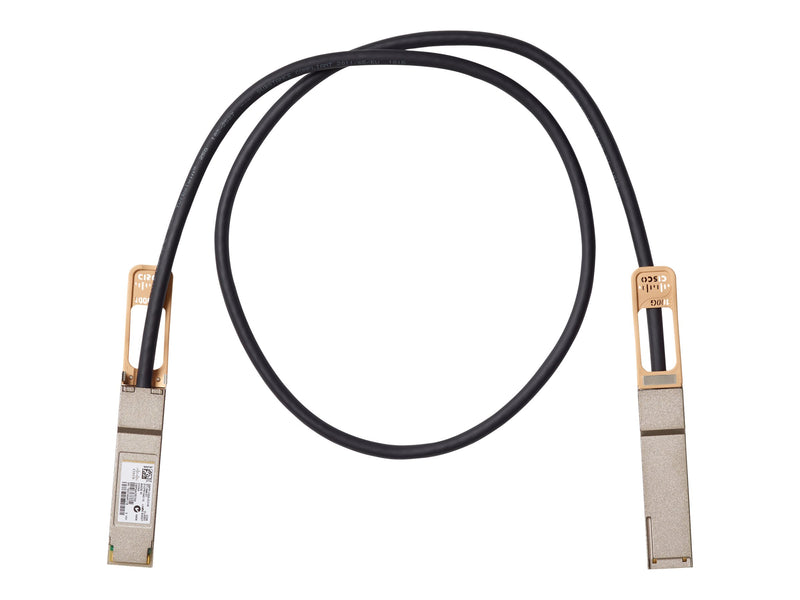 Cisco Netzwerk-Direktanschlusskabel – 1 m, Twinaxial