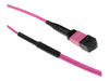 Advanced Cable Technology Glasfaser-Stammkabel – 30 m, geschirmt