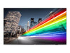 Philips 50" Smart-TV – Integriertes Chromecast, Android TV