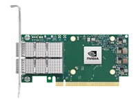 Nvidia Netzwerkadapter – 2 Ports, 100 Gb/s Ethernet
