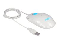 DELOCK Optische Maus – Für Rechts- und Linkshänder, USB-Anschluss