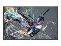 Philips 50" Ultra HD-Display – Ideal für Präsentationen