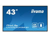 Iiyama 43" 4K Monitor – Klare Bilder, weite Blickwinkel