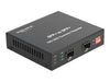 Delock Medienkonverter – 10G Ethernet für Glasfaserverbindungen