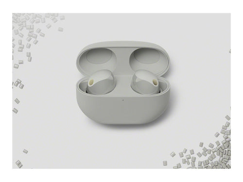 Sony True Wireless-Kopfhörer – Bluetooth, Geräuschunterdrückung