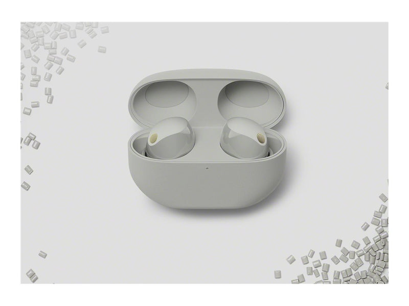 Sony True Wireless-Kopfhörer – Bluetooth, Geräuschunterdrückung