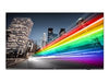 Philips 55" Smart TV – Android TV, Integriertes Chromecast