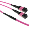 Advanced Cable Technology Glasfaser-Stammkabel – 100 m, halogenfrei