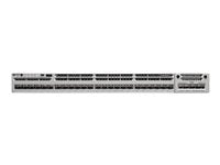 Cisco Netzwerk-Switch – 24 Ports, Gigabit Ethernet