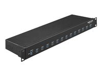 DELOCK 19" Industrie-Hub – 13 USB-Anschlüsse für effiziente Verbindung