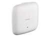 D-Link WLAN Access Point – Schnelles Internet für Ihr Büro