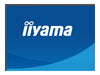 Iiyama 27" Monitor – 2K-Display, augenschonend
