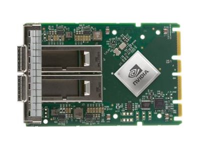 Nvidia Netzwerkadapter – 2 Ports, 100 Gb/s Ethernet