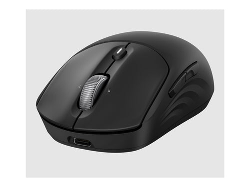 HP 700 Kabellose Maus – Wiederaufladbar, ergonomisches Design