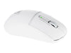 TURTLE BEACH Gaming-Maus – Ergonomisch, kabellos & Bluetooth