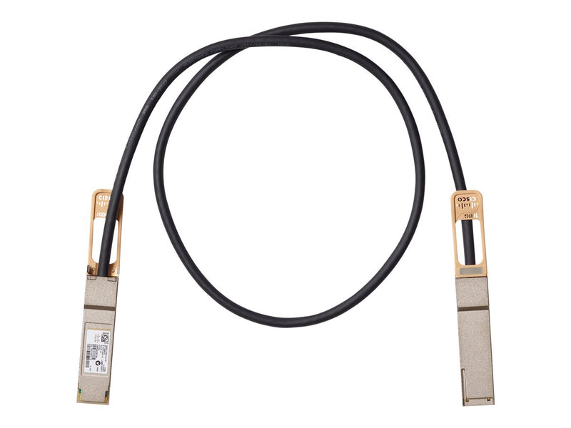Cisco Netzwerk-Direktanschlusskabel – 1 m, Twinaxial