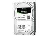 Cisco Festplatte – 2 TB, Hot-Swap für Server
