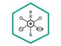 Kaspersky Sicherheitssoftware – Schutz für 20-24 Geräte, 3 Jahre