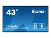 Iiyama 43" 4K Monitor – Klare Bilder, weite Blickwinkel