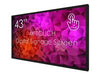 Swedx 43" Display – 4K UHD, Multi-Touch