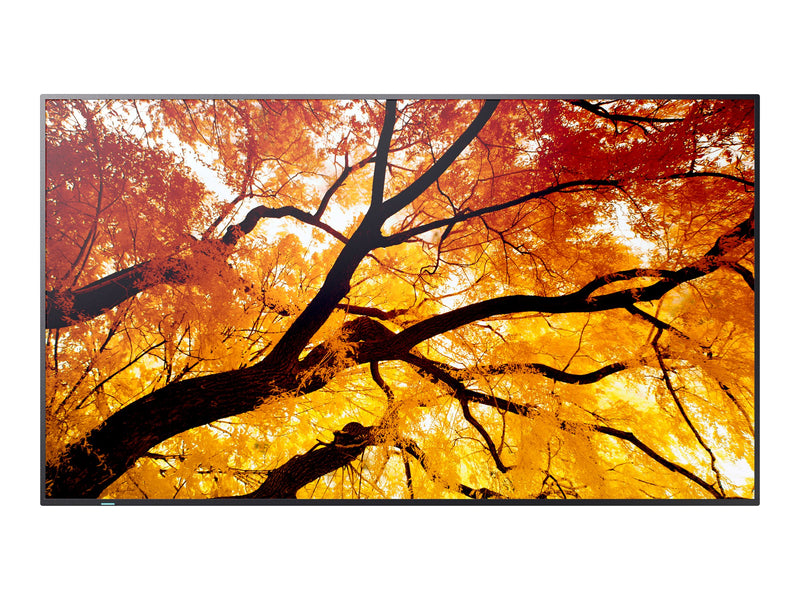 Sharp 65" Display – 4K-Auflösung, LED-Hintergrundbeleuchtung