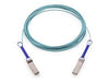 Nvidia Netzwerk-Kabel – 10m Glasfaser, 100G Ethernet-Support