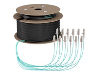 EFB Elektronik Glasfaser-Trunkkabel – 190 m, Multi-Mode, halogenfrei
